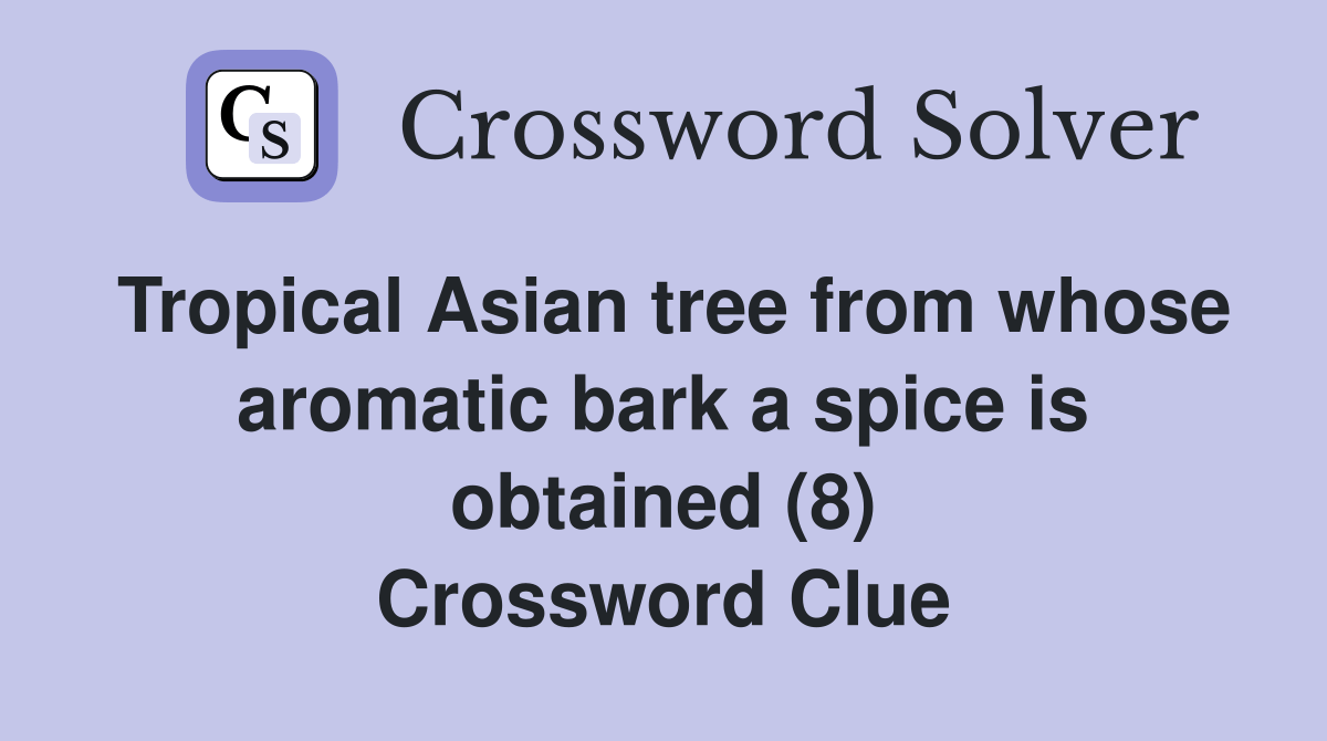 Tropical Asian tree from whose aromatic bark a spice is obtained (8